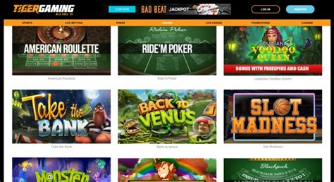 gambling sites without verification|6 Best betting sites without verification [2024]: no ID bookies.
